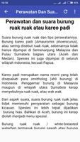Tips Merawat Burung Ruak-Ruak ảnh chụp màn hình 2