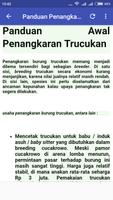 Masteran Trucukan Rompel ảnh chụp màn hình 3