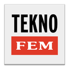 Icona TeknoFEM