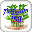 ”Feng Shui Tips in Hindi