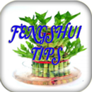 Feng Shui Tips in Hindi APK