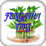 Feng Shui Tips in Hindi icon