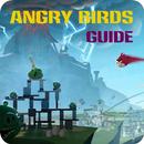 Guide Angry Birds Space-APK