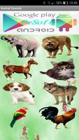 animal sounds Affiche