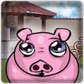 Roast Pork