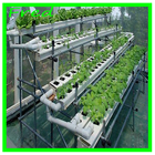 hydroponic systems icône