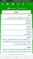 Kurdish Arabic Dict. noKeyboard capture d'écran 2