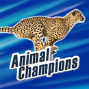 Animal Champions aplikacja