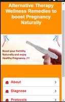 Natural Pregnancy Booster ポスター