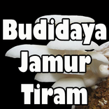 Budidaya Jamur Tiram