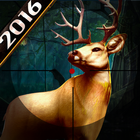白尾鹿狩猎2016年 图标