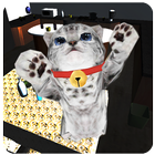 Cute cat simulator ikon