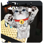 Cute cat simulator icon