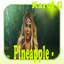 Pineapple , Karol G APK