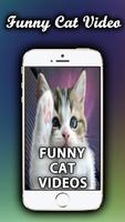 Cat Funny Videos Compilation HD Affiche