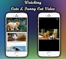 Cat Funny Videos Compilation HD capture d'écran 2