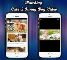Dog Funny Videos HD capture d'écran 2