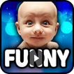 Top Funny Vidoes (NEW + HD)