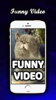Top Funny Vidoes (NEW + HD) gönderen