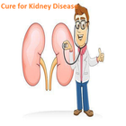 Cure for Kidney Disease ไอคอน