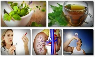 Poster Cure for Kidney Disease
