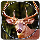 Jungle Animals Hunt Reloaded APK