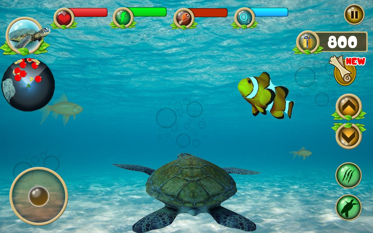 Бесплатные игры черепахи. Черепашьи гонки. Игра симулятор черепахи. Приключения Черепашки игра. Игра про морскую черепаху.