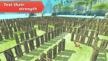 3D Pets in the maze APK download