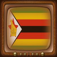 TV Satellite Zimbabwe Info-poster