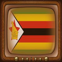 TV Satellite Zimbabwe Info 截圖 1