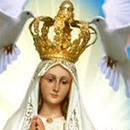 APK La Virgen de Fatima Imagenes