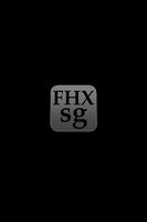 FHX SG V8 постер