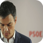 Pedro Sánchez Simulator 2016 icono