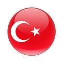 Turkish Dictionary APK