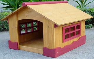 Diy Dog House Design screenshot 2