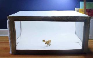 DIY Lightbox স্ক্রিনশট 2