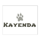 ikon Kayenda