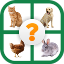 Hayvan Bilmece-APK