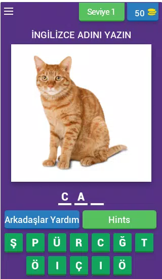 Hayvan Bilmece - İngilizce APK for Android Download Hayvan Bilmece - İngilizce APK for Android Download