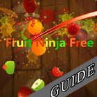 Great Fruit Ninja Free Guide icon