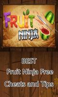 Great Fruit Ninja Free Guide capture d'écran 2