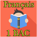 Figures de style 1 BAC