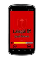 Lalegül FM 海报