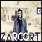 Zarcort  - Play Love أيقونة