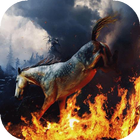 Horse in bonfire live wp icono