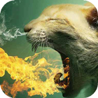Fire Breathing Cat Live أيقونة