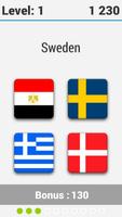 9 Flags - World Geo Quiz 截圖 1