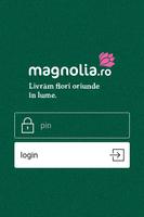 Magnolia постер