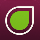 Fig APK