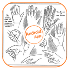Learn to Draw Hand icon